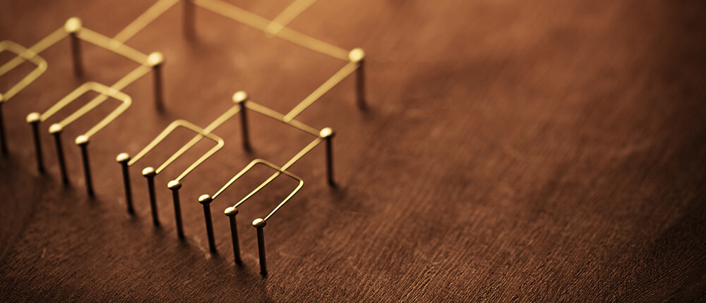 組織図/部門紹介